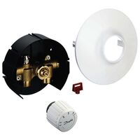 Ограничитель температуры обратного потока RTL Danfoss FHV-R 003L1000