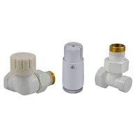 Радіаторний комплект осьовий правий білого кольору Schlosser Standart Mini